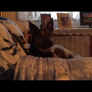 Meet your Posher, Deborah